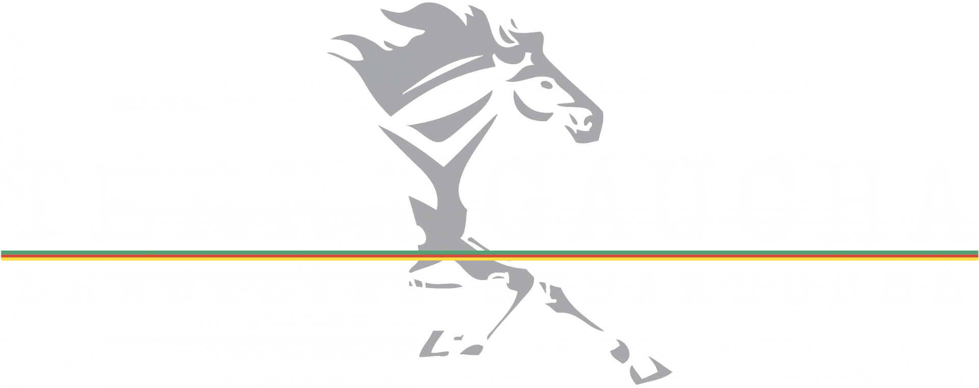 Terra Gaucha Brazilian Steak House